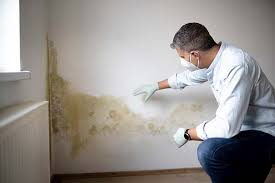 Asbestos and Lead Testing During Mold Inspection in Ashland City, TN